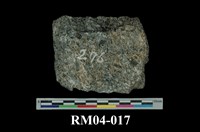 藏品(角閃片麻岩)的圖片